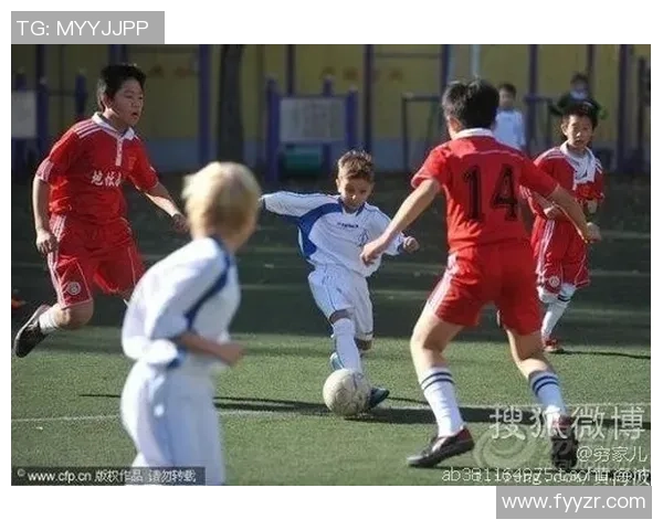 北京排球队在钻石联赛中的强势表现与未来展望分析 北京排球队在钻石联赛中的强势表现与未来展望分析