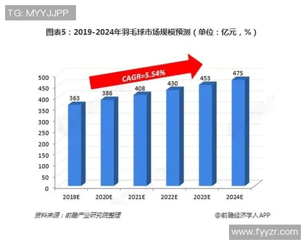 南京羽毛球队个人能力分析与发展策略探讨