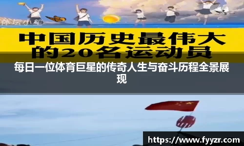 每日一位体育巨星的传奇人生与奋斗历程全景展现
