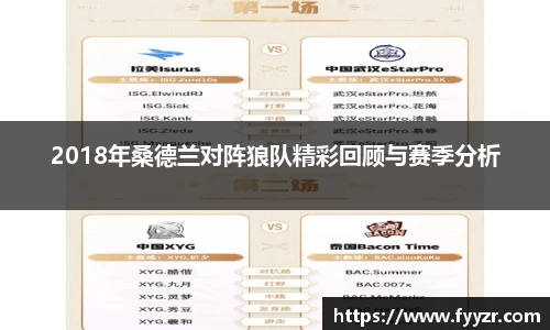 2018年桑德兰对阵狼队精彩回顾与赛季分析