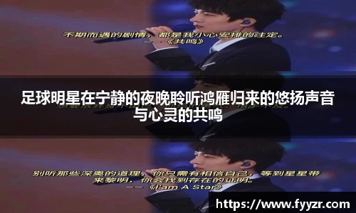 足球明星在宁静的夜晚聆听鸿雁归来的悠扬声音与心灵的共鸣